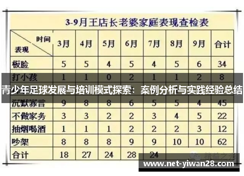 青少年足球发展与培训模式探索：案例分析与实践经验总结