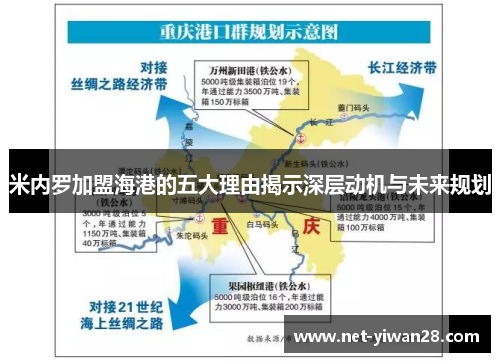 米内罗加盟海港的五大理由揭示深层动机与未来规划