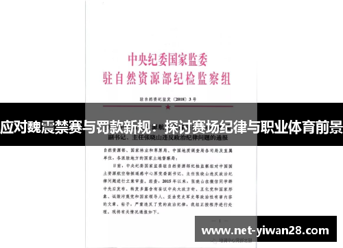 应对魏震禁赛与罚款新规：探讨赛场纪律与职业体育前景