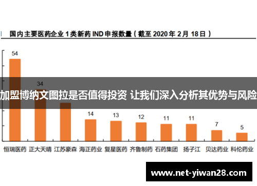 加盟博纳文图拉是否值得投资 让我们深入分析其优势与风险
