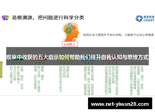 观察中收获的五大启示如何帮助我们提升自我认知与思维方式