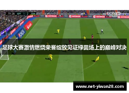 足球大赛激情燃烧荣誉绽放见证绿茵场上的巅峰对决